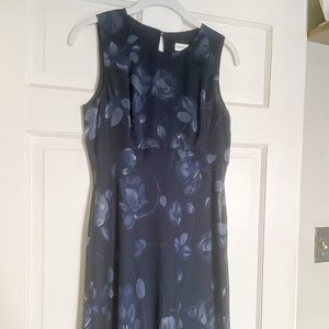 Ann Taylor Floral Midi Dress SZ 6